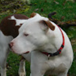 Meet your Posher, Keannah